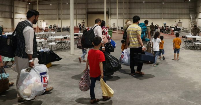 Trump may send Afghan allies to Congo