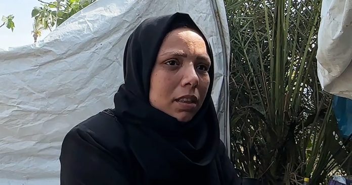 Six months after Trump’s ceasefire in Gaza