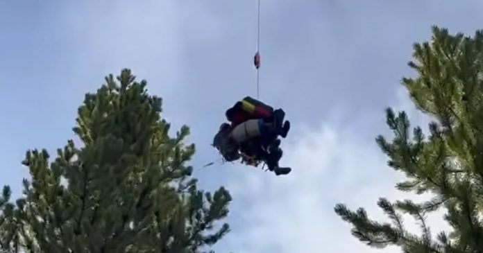2 hikers injured in bear attack on Yellowstone trail