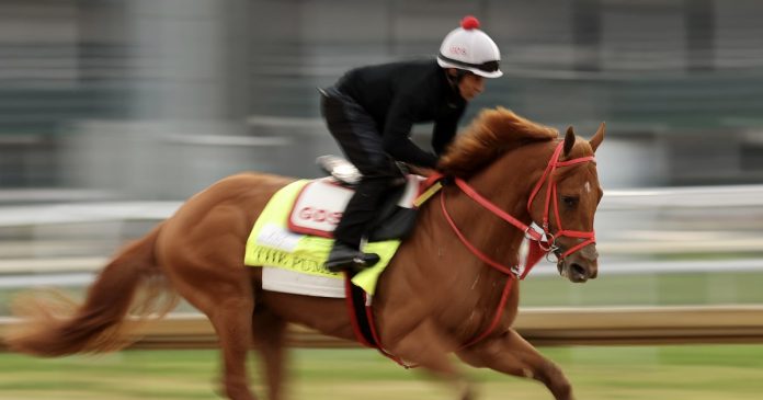 Where to watch, start guide, betting odds, lineup and more