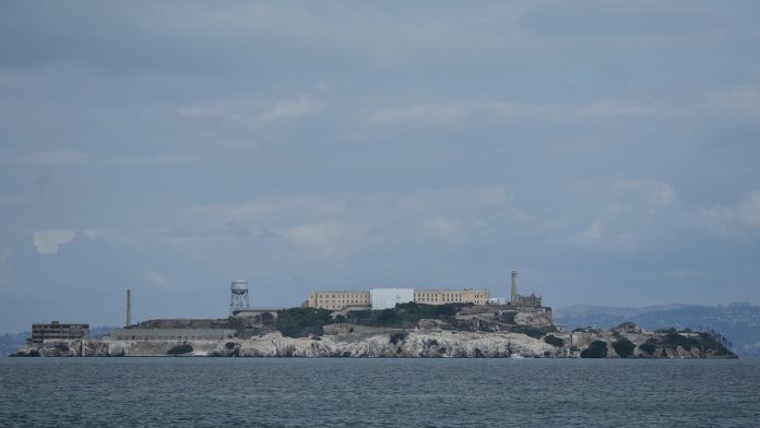 Male coyote swam 2 miles to Alcatraz Island, twice as far as biologists had expected