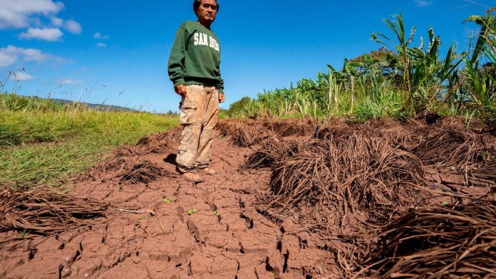 Hawaii’s worst flooding in 20 years leaves farmers struggling and fewer veggies at the market