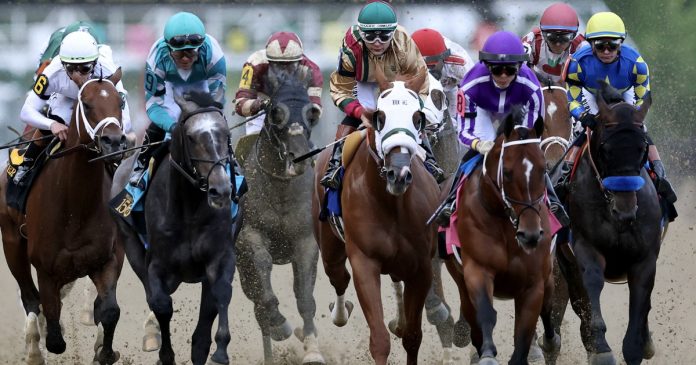 Where to watch, what time it starts, channel, odds and what to expect