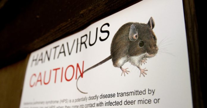 What to know about hantavirus
