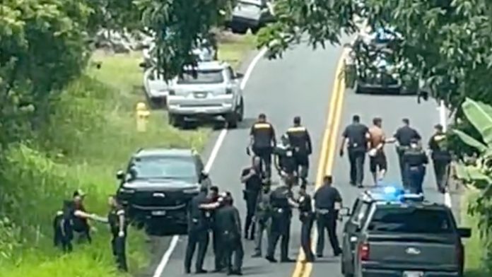 An eclectic, off-grid Hawaii haven, 3 dead men and a suspect caught on surveillance video