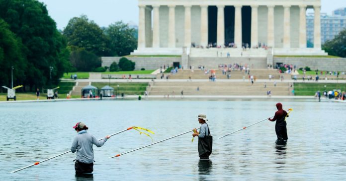 Blue paint seen chipping off in Lincoln Memorial Reflecting Pool after algae turns it green