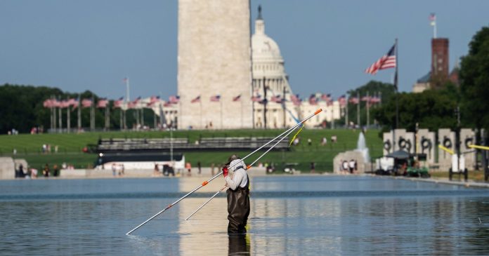 U.S. Olympian David Hearn to be arraigned on charges in Reflecting Pool vandalism case