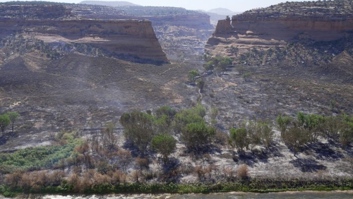 Wildfire southwest of Denver forces thousands to evacuate, destroys 160 structures