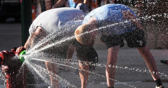 Ocean surface temperatures hit record high