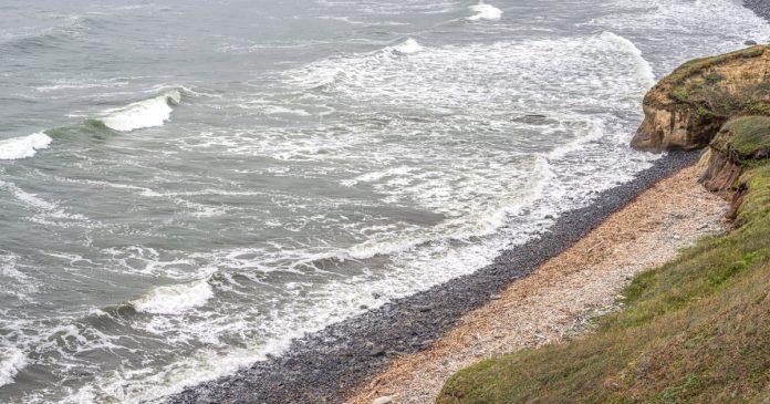 Man has hand blown off by explosive while cleaning July Fourth debris off California beach