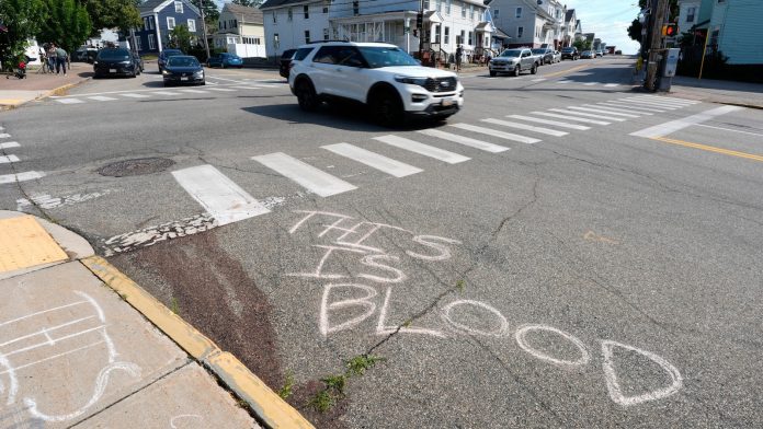 ICE officer who fatally shot driver in Maine was 'fearing for public safety,' agency says