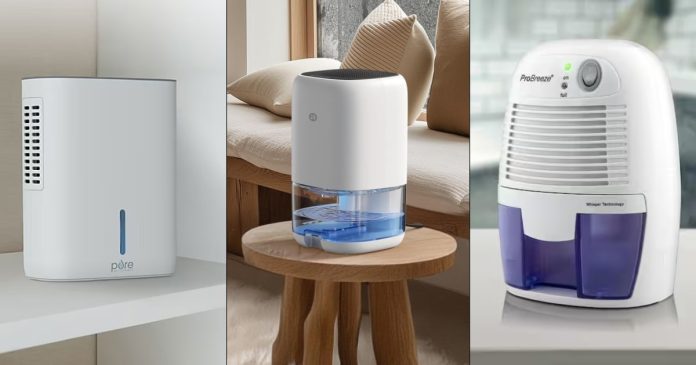 The Best Dehumidifiers for Small Rooms