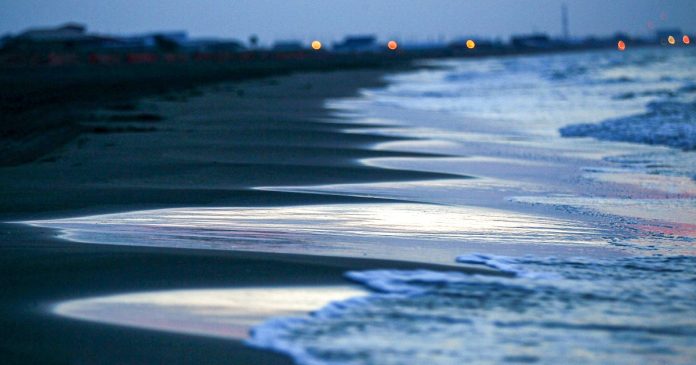 Louisiana warns against flesh-eating bacteria after five deaths