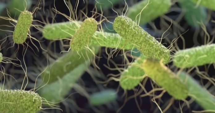 Salmonella outbreak expands to 27 states 