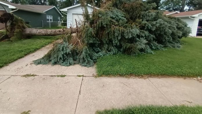 Tens of thousands in Indiana are still without power a week after deadly storms