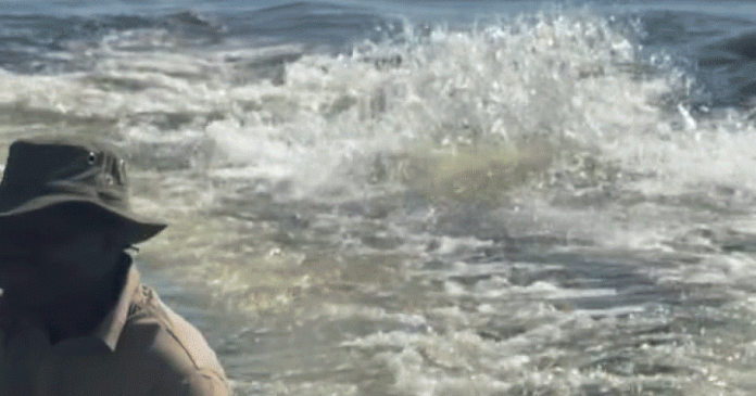 Video shows hippo charging boat full of tourists in Botswana
