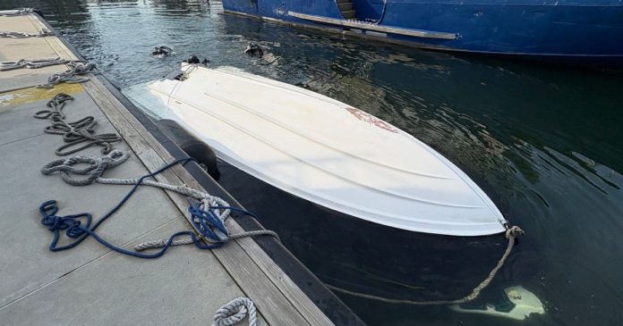 Captain of boat that capsized near Statue of Liberty charged in deaths of mother and baby