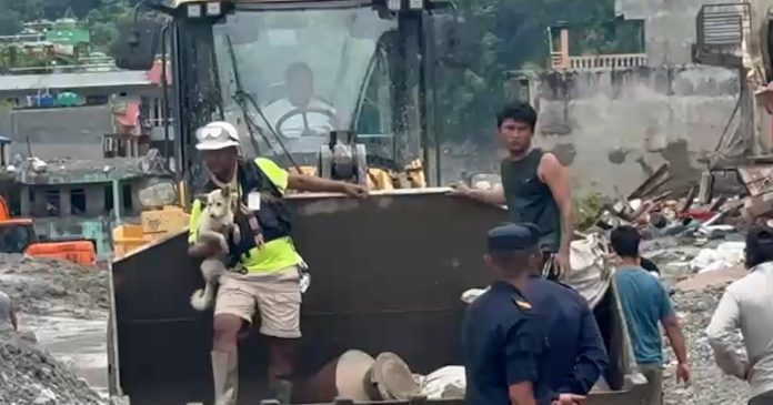 Deaf dog is reunited with her owner after the devastating floods in Nepal