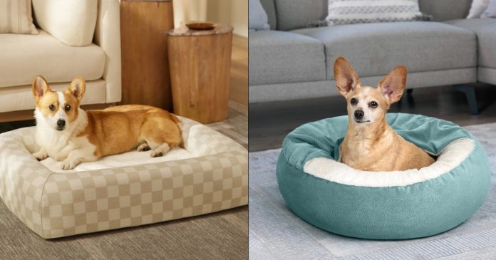 15 Best Dog Beds of 2026, According to Experts