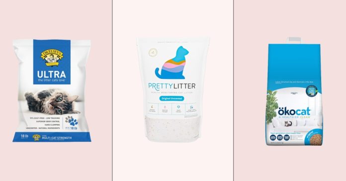 The 7 Best Cat Litters, Approved by Vets & Tested by Pet Parents