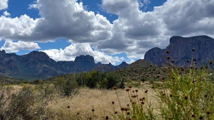 Trump administration considers scaling back border project in Texas' Big Bend National Park