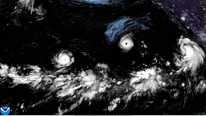 Edouard, now a tropical depression, drenches Texas with flash flooding and downed trees