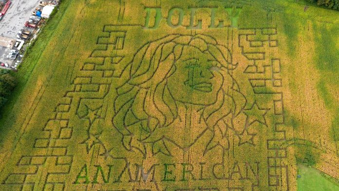 Dolly Parton corn mazes crop up in fields nationwide