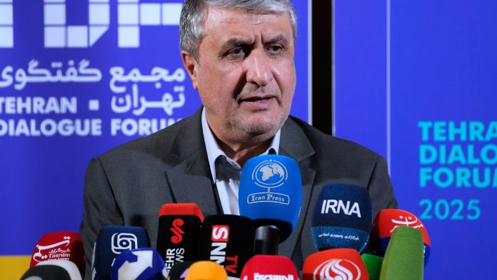 Iran's nuclear chief not expected to attend IAEA General Conference, official says