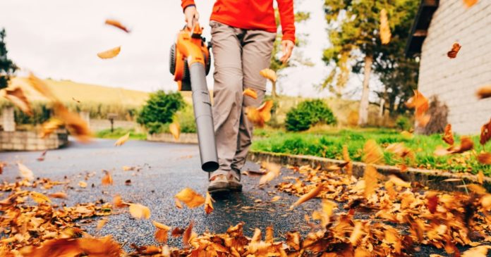 The 6 Best Leaf Blowers of 2026