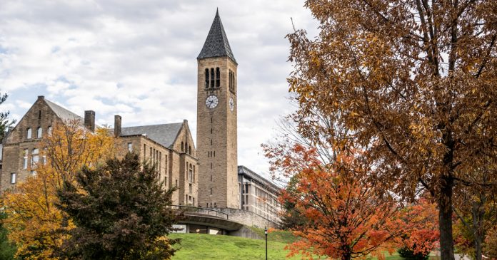 Cornell survey showed increase in reports of nonconsensual sexual contact among female undergrads