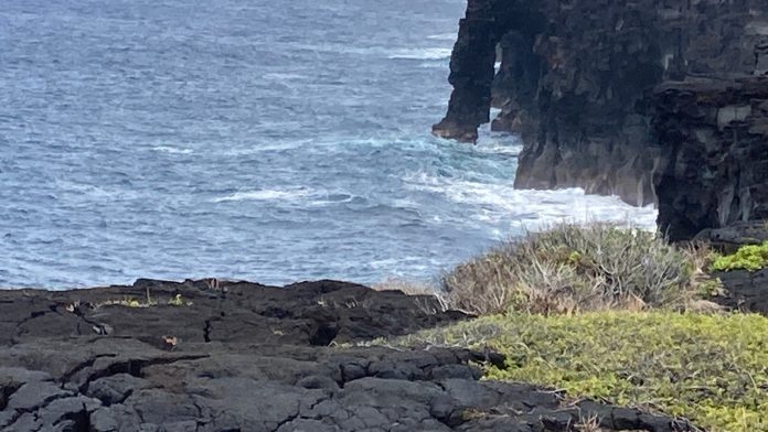 A famed Hawaii sea arch collapses, prompting NPS warnings of unstable cliffs